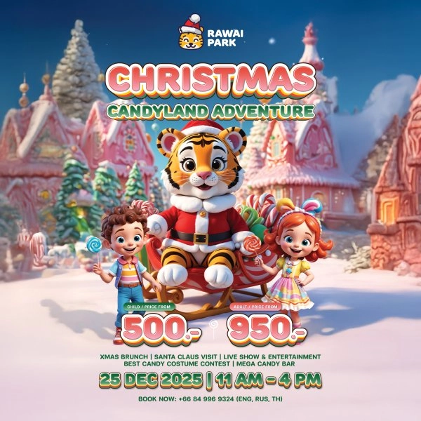 Christmas Candyland Adventure ที่ Rawai Park