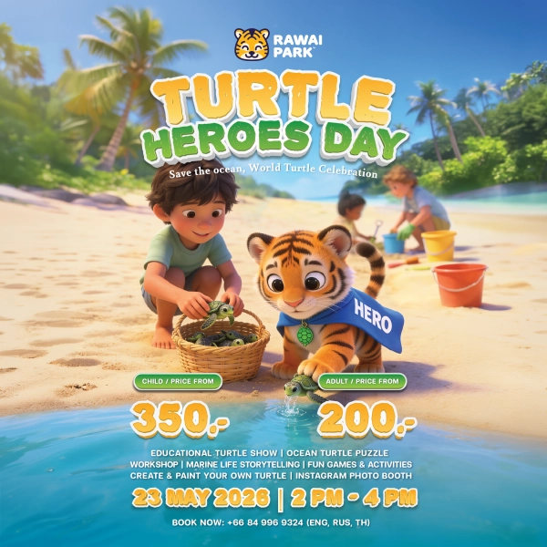 Turtle heroes day